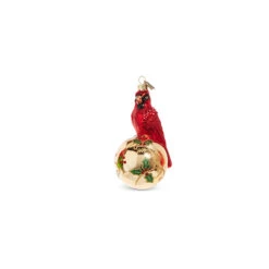 Raz Eric Cortina 5" Elegant Cardinal Glass Christmas Ornament 4353115 6 Raz Eric Cortina 5" Elegant Cardinal Glass Christmas Ornament 4353115 -Raz Imports 4353115b 39734.1689693000